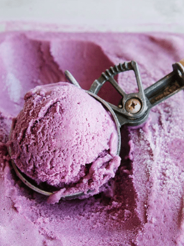 Vegan Blueberry Coconut Ice Cream