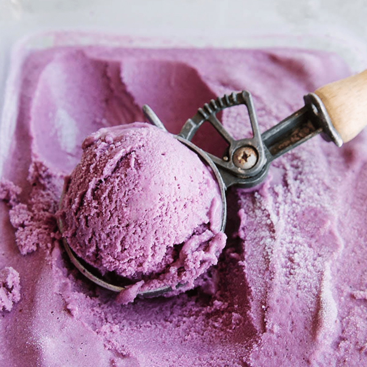 Vegan Blueberry Coconut Ice Cream