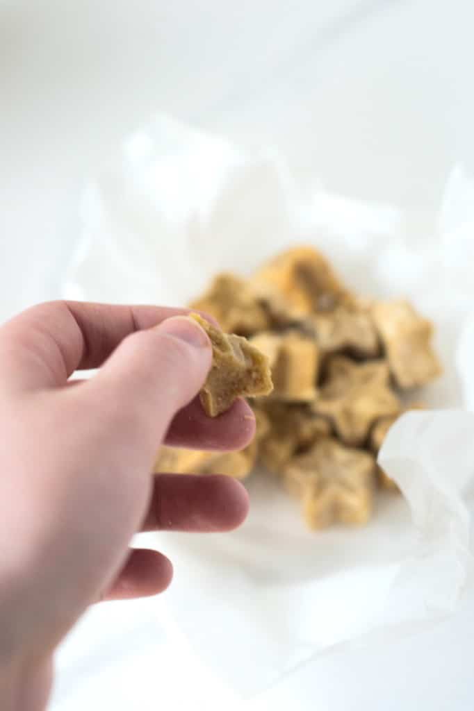 Vegan Maple Fudge Recipe - Just 2 Ingredients!