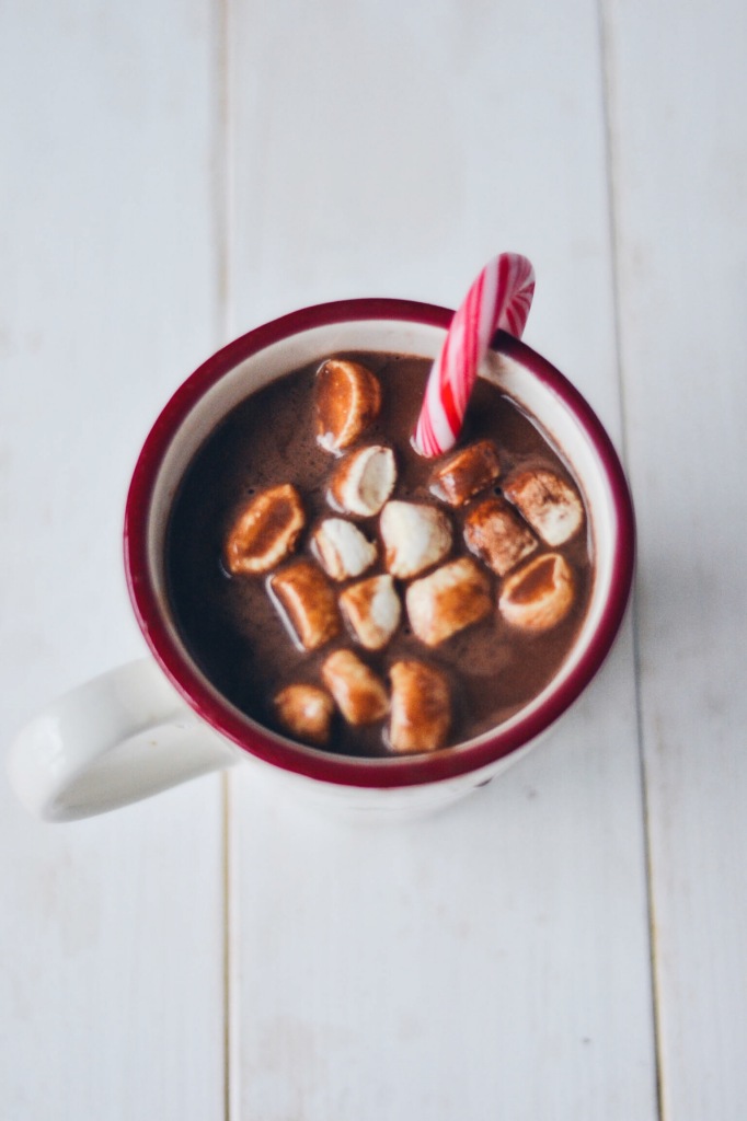 DIY Vegan Hot Cocoa Mix & Personalized Mug