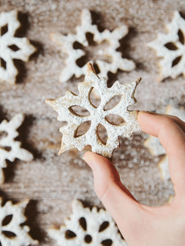 Vegan Cinnamon Snowflake Cookies