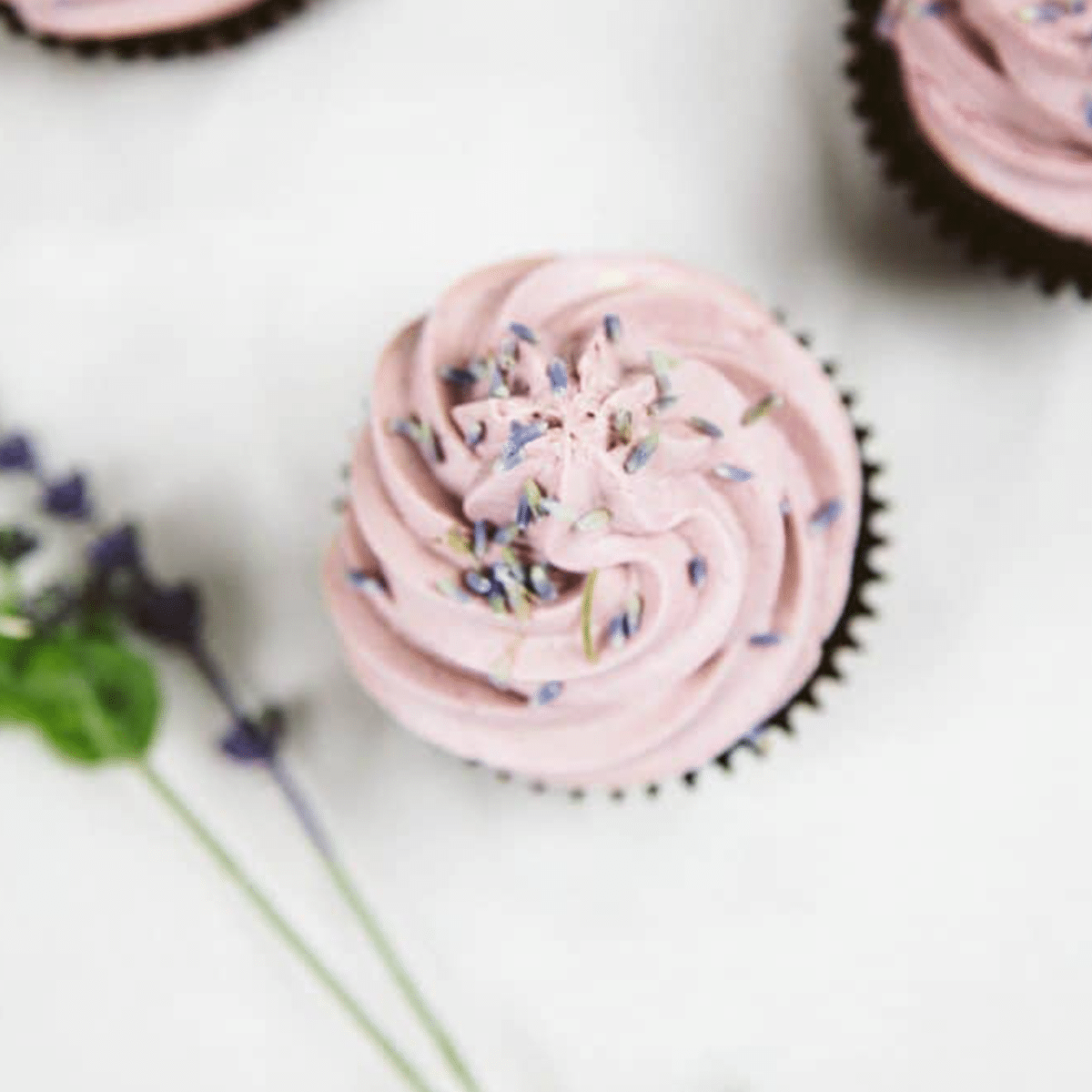 Rich vegan chocolate cupcakes with a purple lavender buttercream frosting