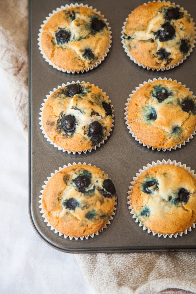 Blueberry Muffins (Gluten-free & Vegan)