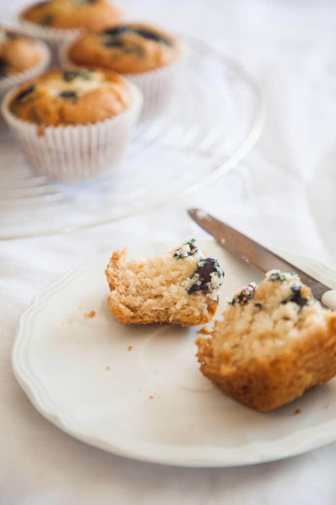 Blueberry Muffins (Gluten-free & Vegan)